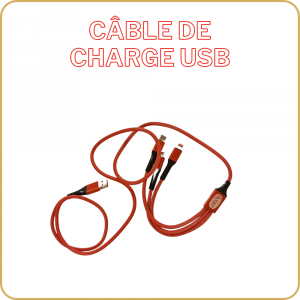 Cable de charge USB Roger goodies collector